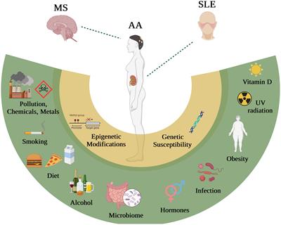 Differential impact of environmental factors on systemic and localized autoimmunity